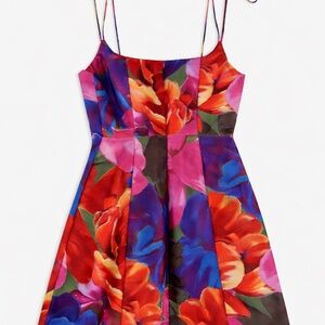 Ted Baker floral print dress